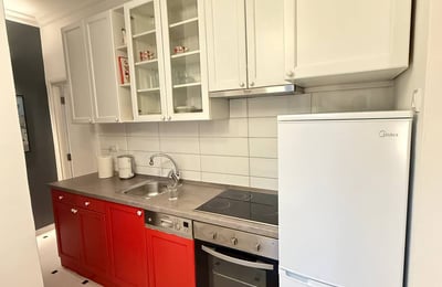 Аренда светлой 2-комнатной квартиры, 43 м², центр Белграда, Сербия